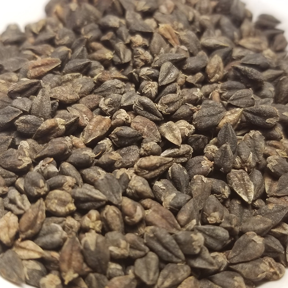 Making Buckwheat Flour from Tartary or Japanese Buckwheat