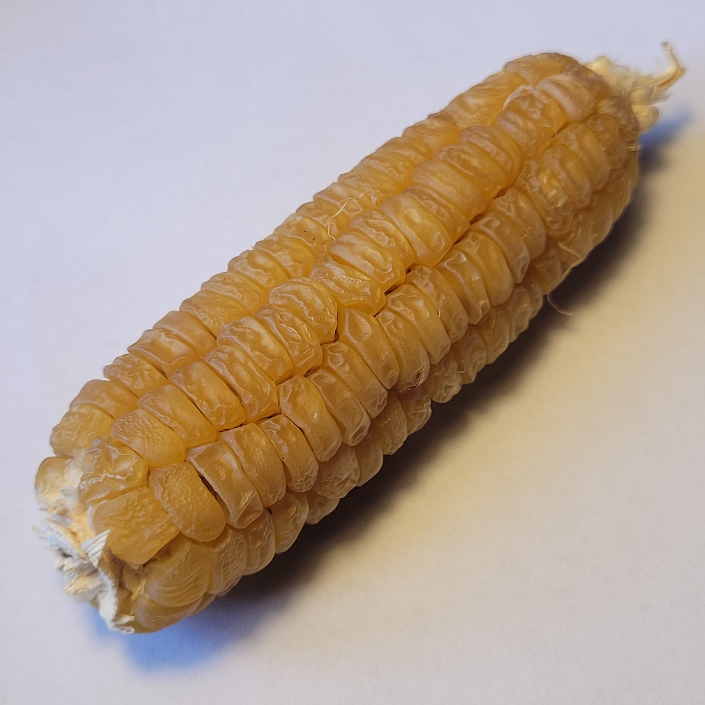 Koas Corn