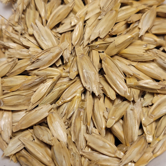Provence Einkorn