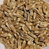 Militinae Wheat seeds