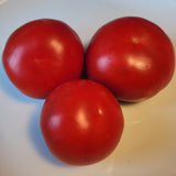 whole fruit of Michigan Red Tomato