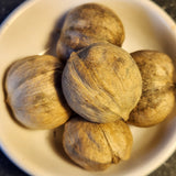 nuts of Shagbark Hickory
