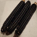 Montana Morado Corn (ears)