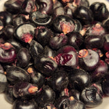 Montana Morado Corn (seeds)