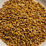 Limelight Millet seeds