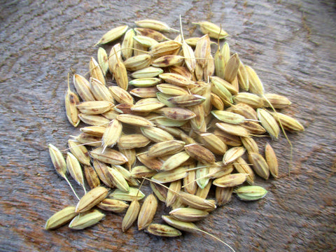 Arpa Shali grains