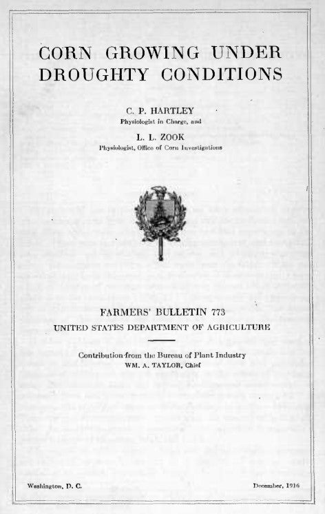 Corn (1916) Corn Grown Under Droughty Conditions