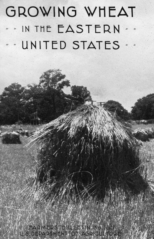 Wheat (1939) Growing Wheat in the Eastern United States