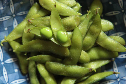 freshsteamedshirofumiedamamesoybeans