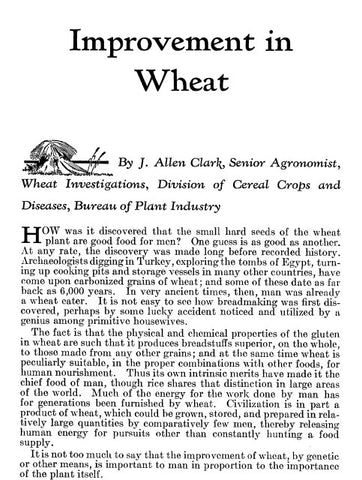 Wheat (1936) Improvement in Wheat