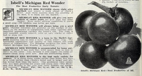 Isbell's Michigan Red Wonder Tomato