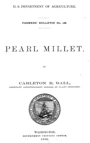 Millet (1903) Pearl Millet