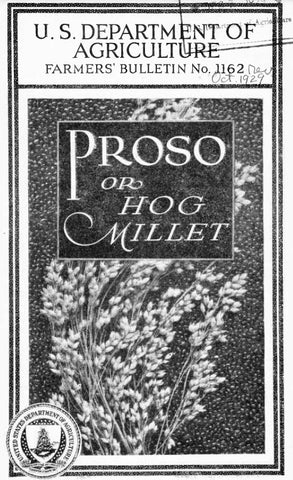 Millet (1929) Proso (Hog) Millet