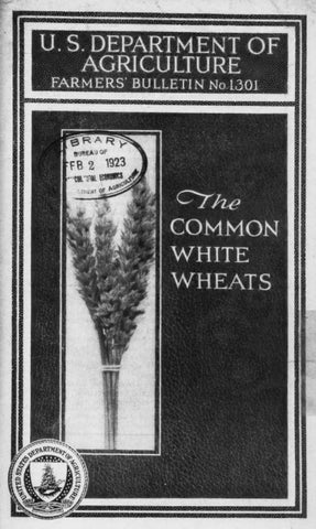 Wheat (1922) The Common White Wheats