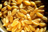 Xinchan Rice Wheat is free threshing.