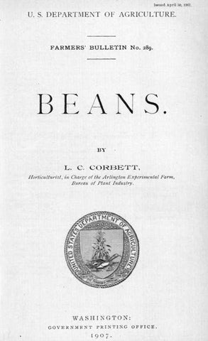 Legumes (1907) Beans