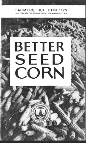 Corn (1920) Better Seed Corn