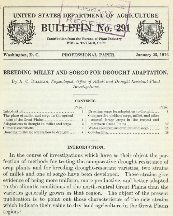Millet, Sorghum (1916) Breeding Millet and Sorgo for Drought Adaptation