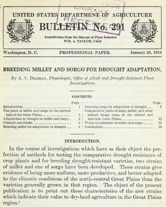 Millet, Sorghum (1916) Breeding Millet and Sorgo for Drought Adaptation