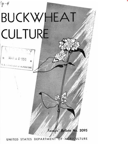 Buckwheat (1956) Buckwheat Culture