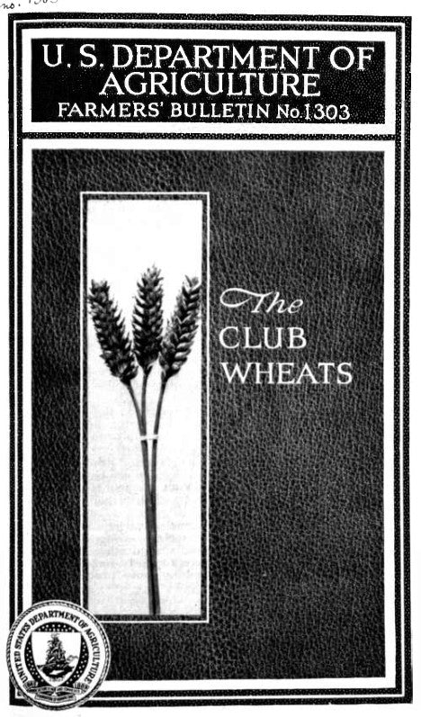 Wheat (1923) The Club Wheats
