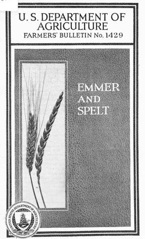 Wheat (1924) Emmer and Spelt