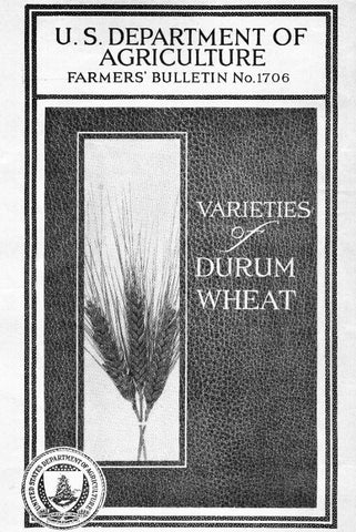 Wheat (1933) Varieties of Durum Wheat