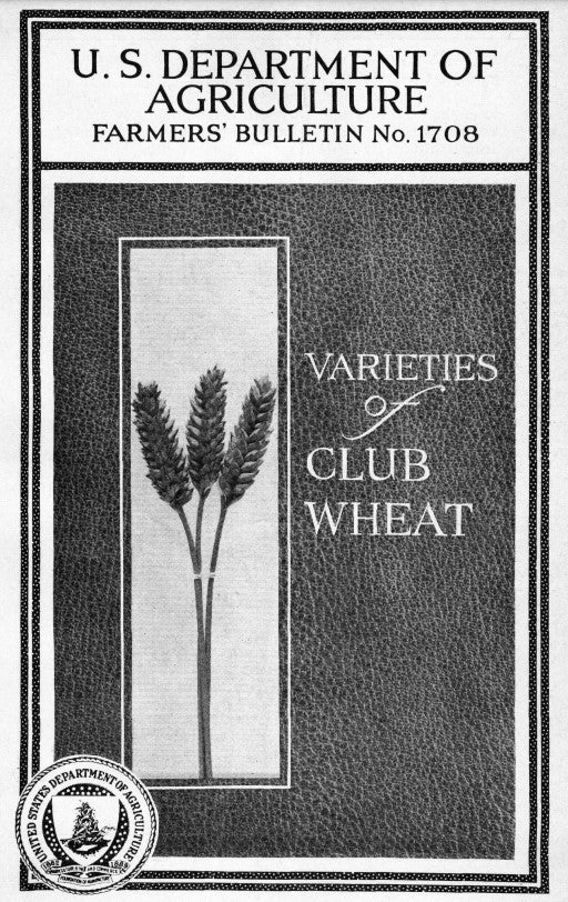 Wheat (1933) Varieties of Club Wheat