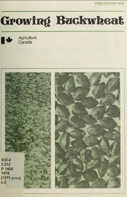 Buckwheat (1979) Growing Buckwheat
