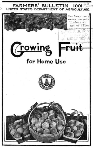 Orchard (1919) Growing Fruit for Home Use