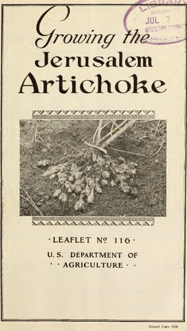 Roots (1936) Growing the Jerusalem Artichoke