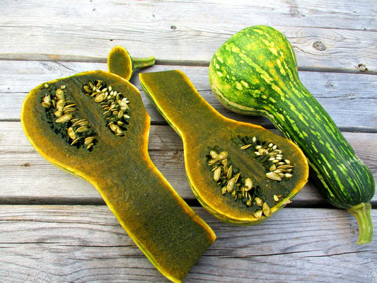 Guatemalan Green Flesh Ayote Squash