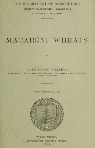 Wheat (1901) Macaroni Wheats