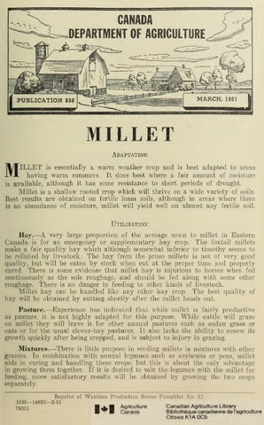 Millet (1950) Millet