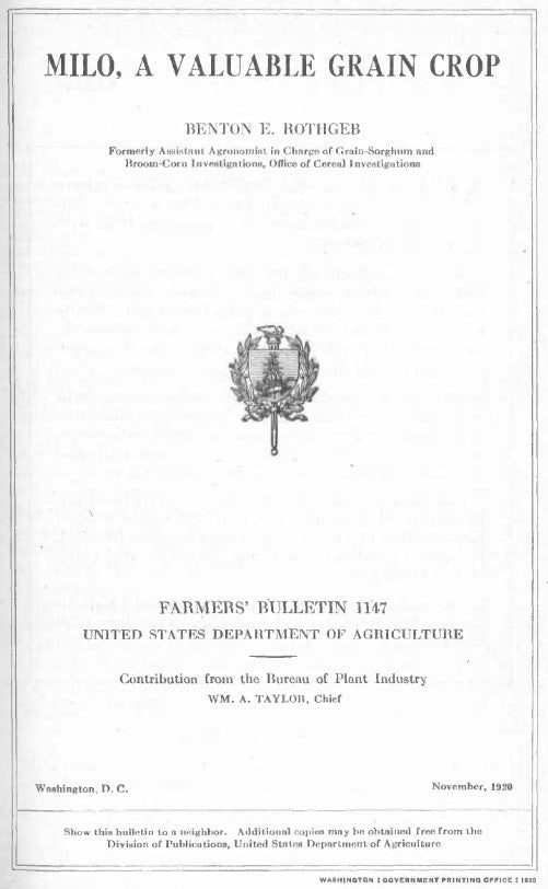 Sorghum (1920) Milo - A Valuable Grain Crop