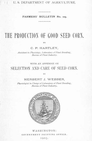 Corn (1905) The Production of Good Seed Corn with Selection and Care of Seed Corn