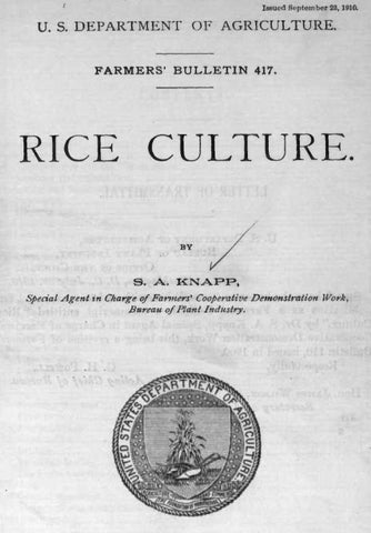 Rice (1910) Rice Culture