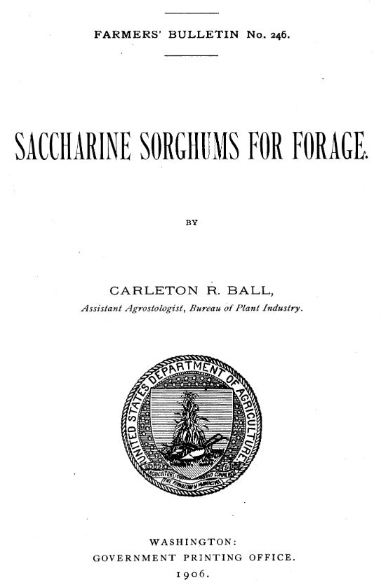 Sorghum (1906) Saccharine Sorghums for Forage