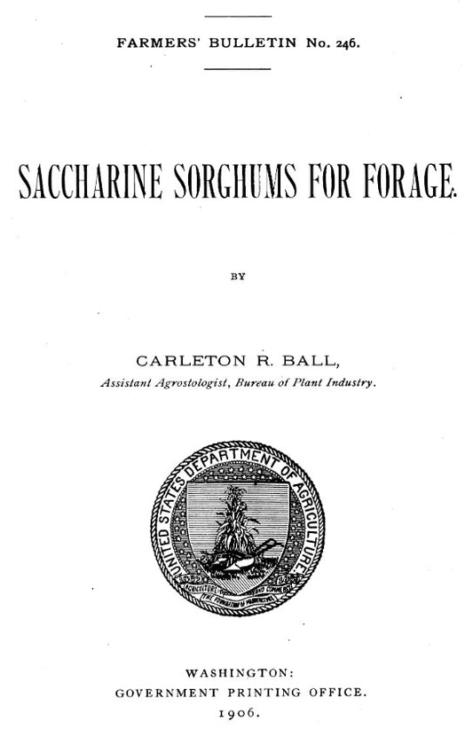 Sorghum (1906) Saccharine Sorghums for Forage