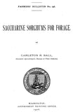 Sorghum (1906) Saccharine Sorghums for Forage