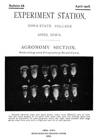 Corn (1903) Selecting and Preparing Seed Corn