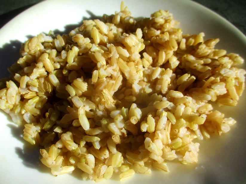 Suchit Rice – Great Lakes Staple Seeds