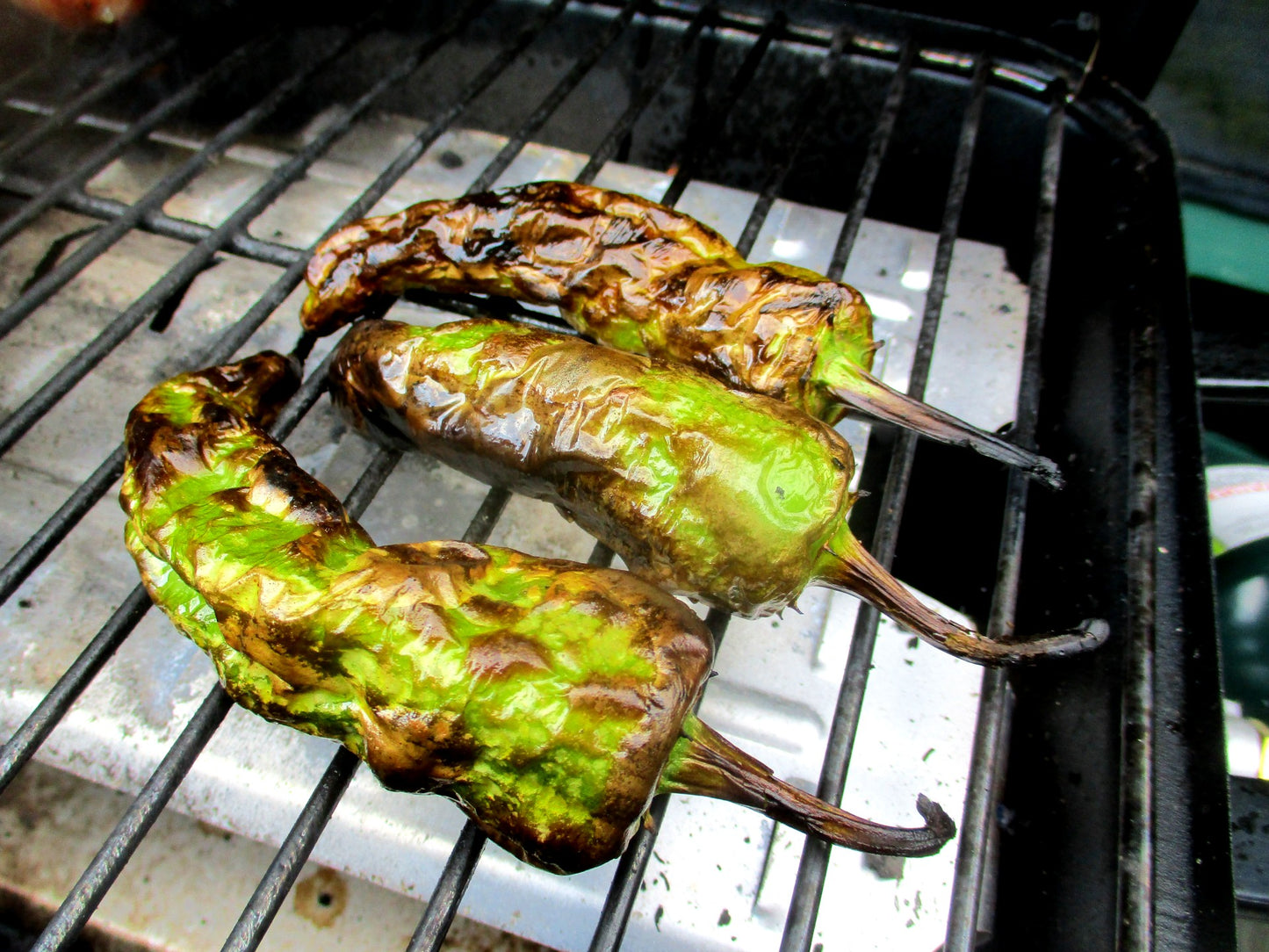 Walatowa Chili Pepper