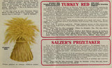 Turkey Red Wheat