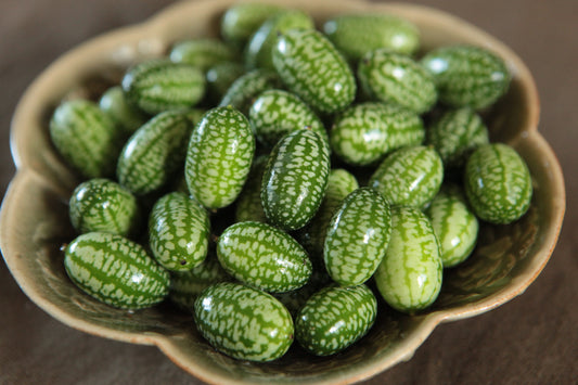 Mouse Melon