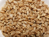 Dika Wheat