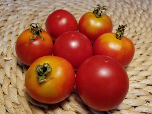 Stupice Tomato