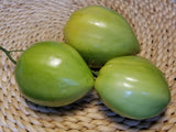 Green Tomatoes from Indiana Red Tomato