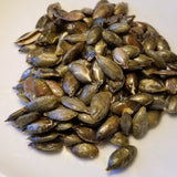 Styrian Pumpkin toasted seed snack