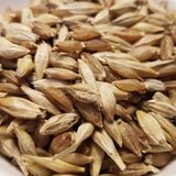 Karan 19 Barley seeds with some hullls